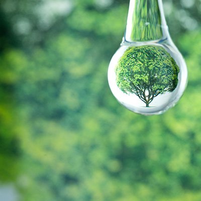 Montico-Consultores-Coberturas-Terapias-Naturales